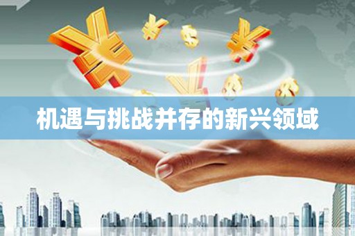 临澧机遇与挑战并存的新兴领域