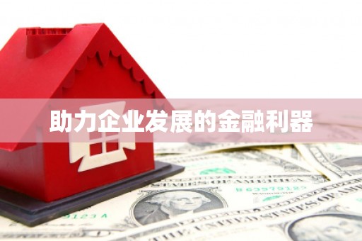 临澧助力企业发展的金融利器